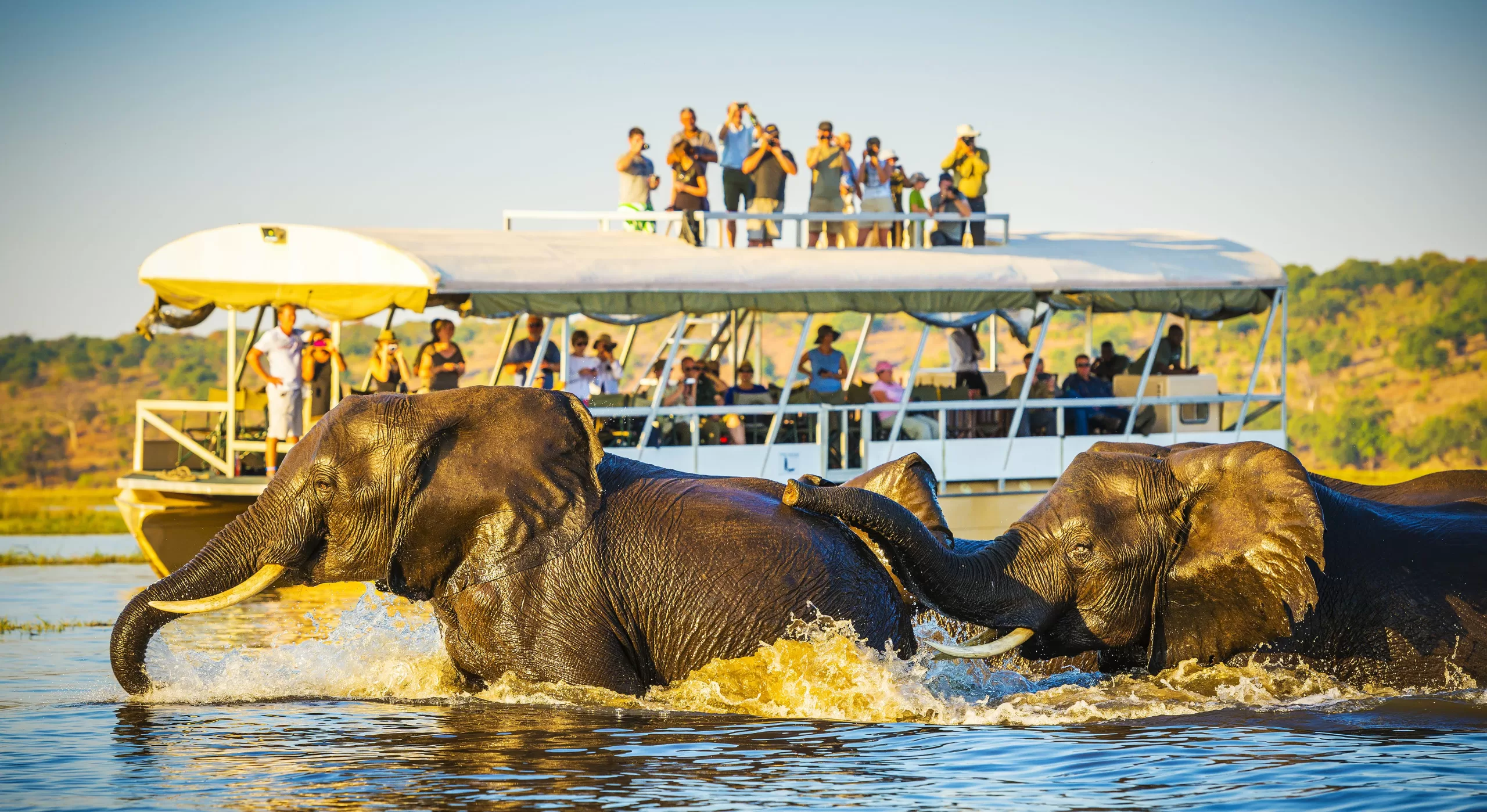 Botswana-Chobe-THP-Creative-shutterstock_470543444-RFE